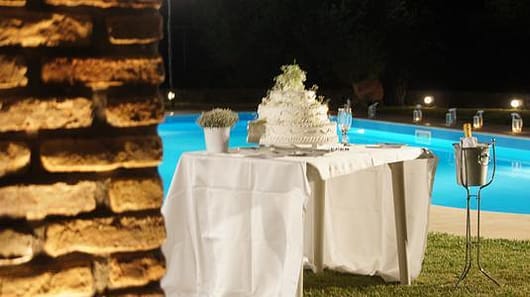 The Cake